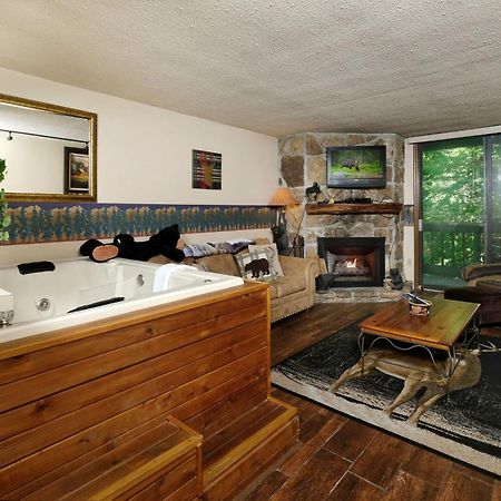Bear Creek 167 Villa Гетлинбург Екстериор снимка