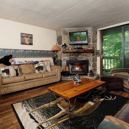 Bear Creek 167 Villa Гетлинбург Екстериор снимка