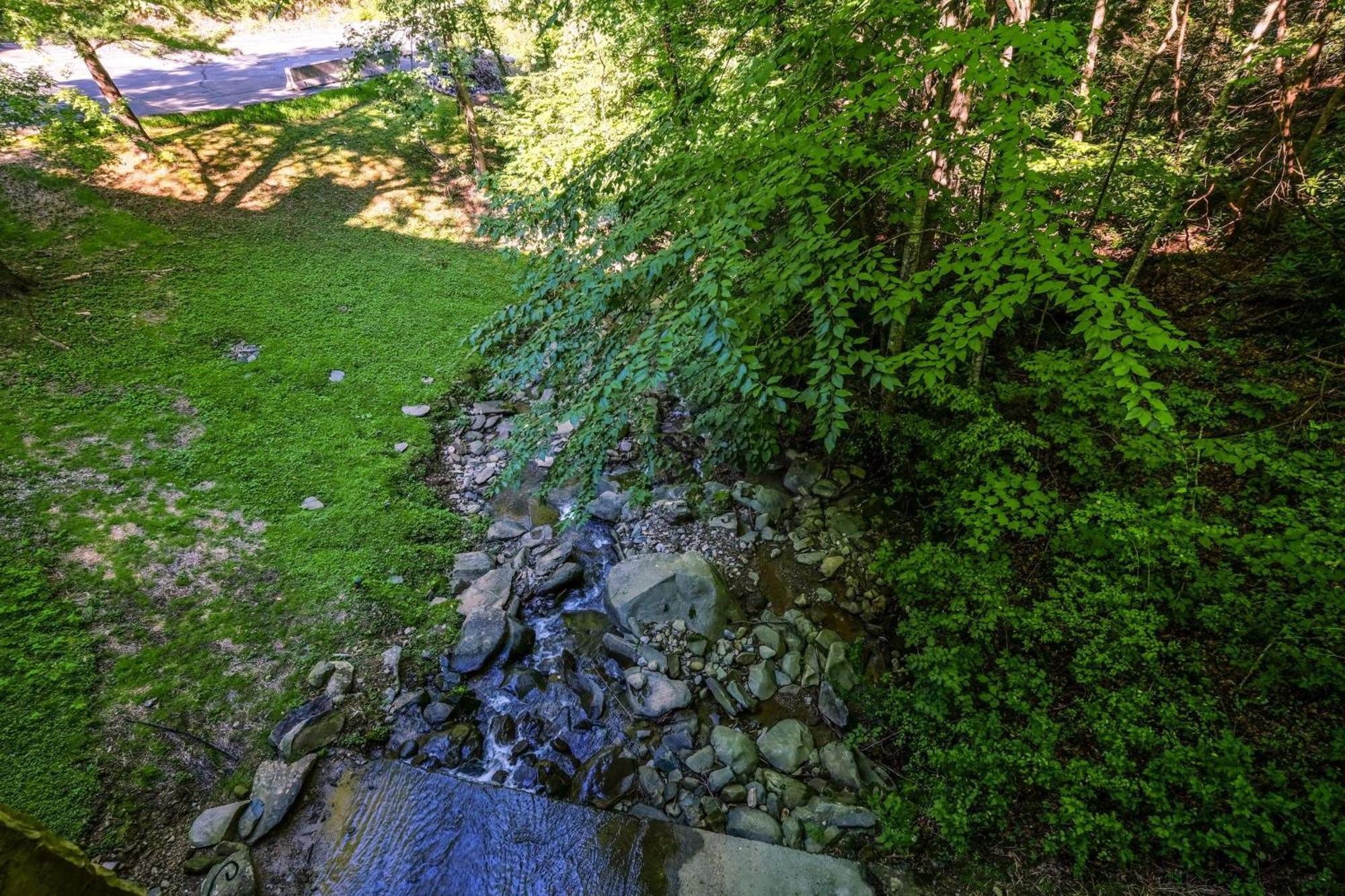 Bear Creek 167 Villa Гетлинбург Екстериор снимка